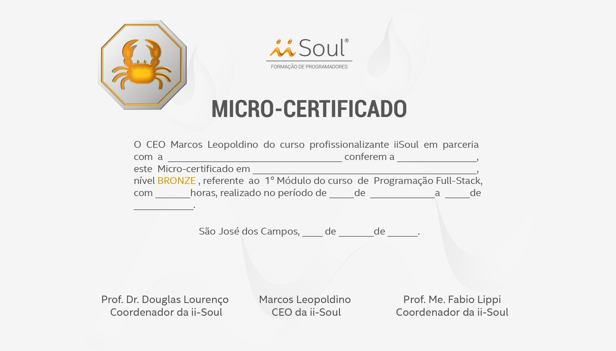 Diploma de microcertificacao iiSoul